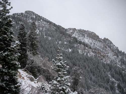 Ascetic Ridge view