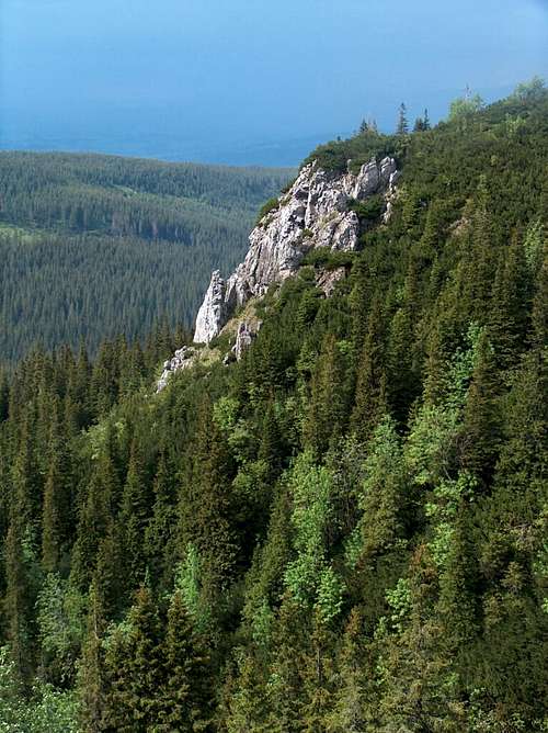 Limestone outcrops at Dubrawiska pass (Polish Tatras)