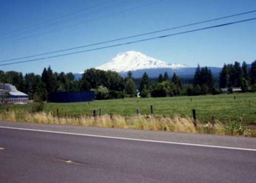 Mount Adams from Trout Lake