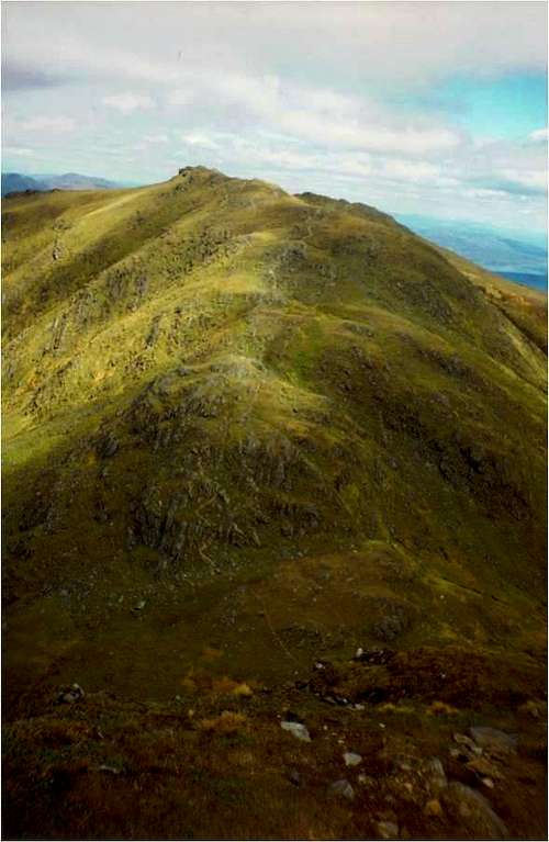 An Stuc from Ben Lawers