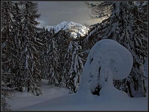 Below S. Leopoldo meadow