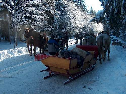 Dolina Rybiego Potoku, horse open sleigh (