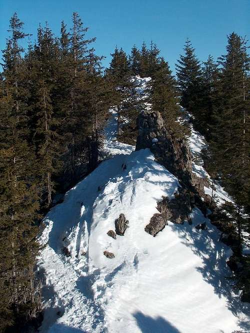 The small  rocky top of Gęsia Szyja