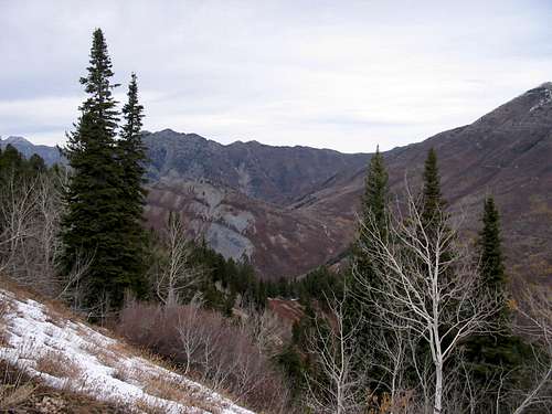 Cascade Ridge