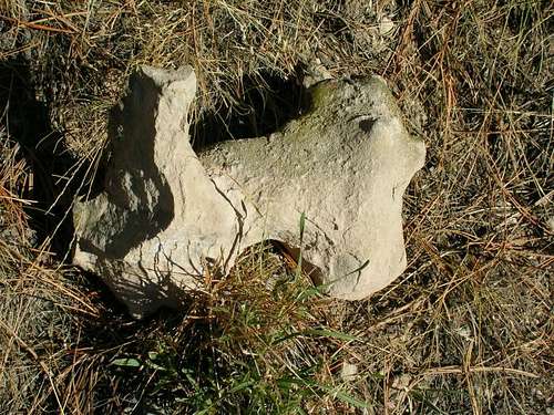 Unusual Rock on Barrel Butte slopes