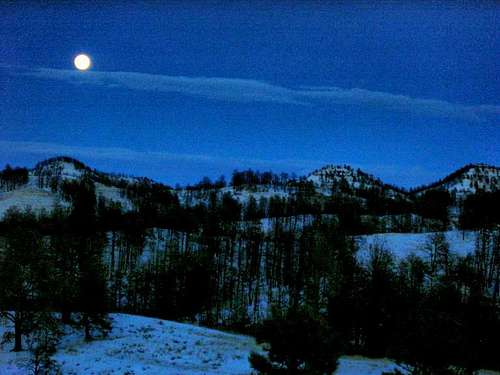 Moonrise over the Pine Ridge
