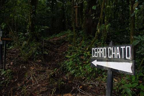 Cerro Chato trailhead