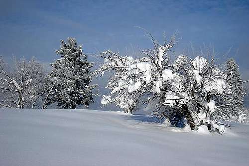 Winter 2008/09 in Spokane