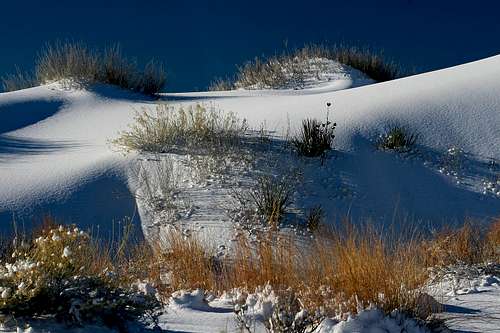 Snow-Covered Dunes