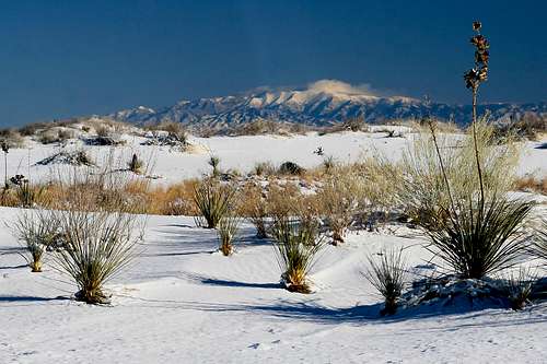 Snow-Covered Dunes and Sierra Blanca