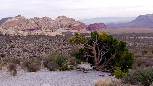 Overlook on Scenic Drive at Red Rock NCA