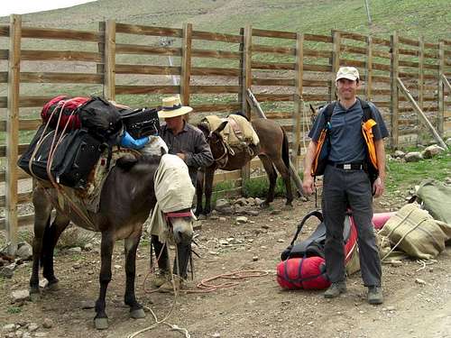 Mauricio loads the mules