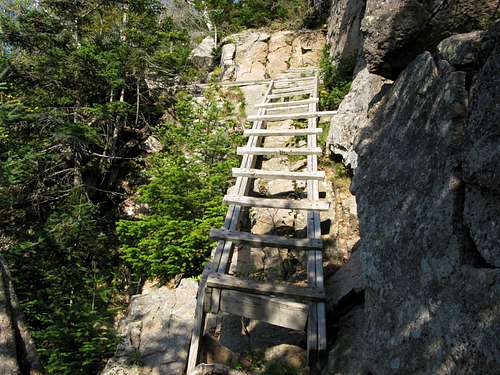 the ladders on the Hi-Cannon trail