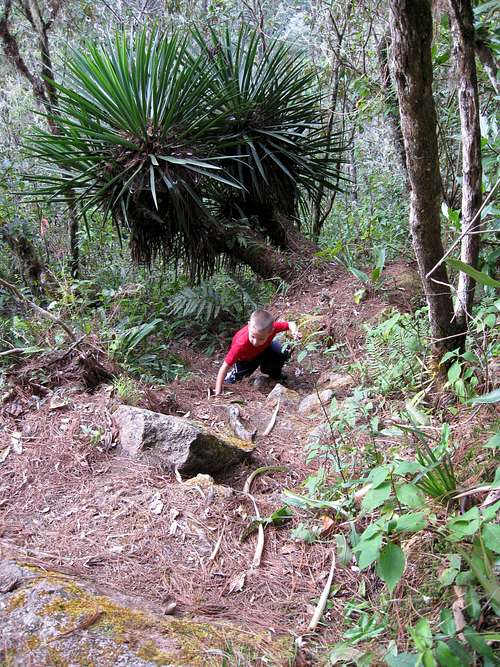 December 24-26: Montaña del Celaque (Honduras)