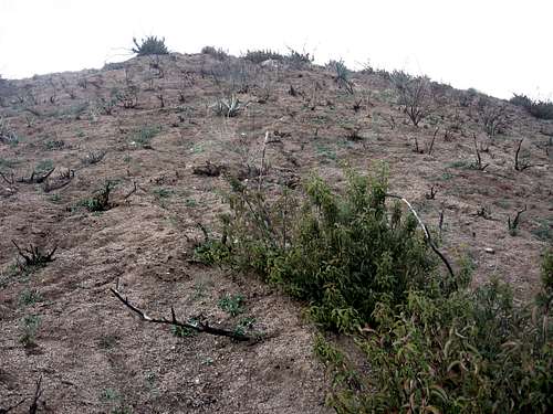 Jones Peak SE Ridge #1