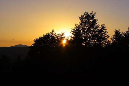 Sunset behind the trees