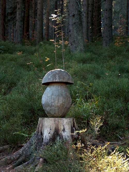 Wooden mushrooms in the forests of Pilsko