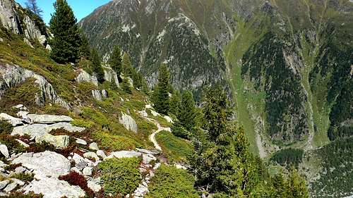 Beautiful trail to Col du Balme