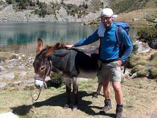 Two donkeys in the Pyrenees :)