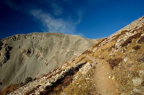 Mount Shavano Trail