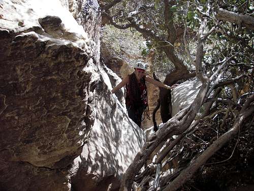 Pitch 2 Scrambling