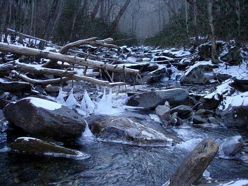 Styx branch @ base of LeConte