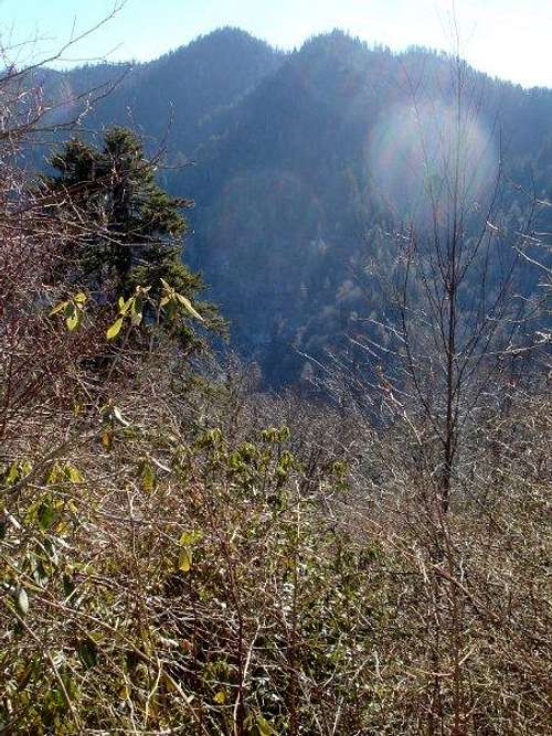 Parton's Peaks from Alum Cave Bluff