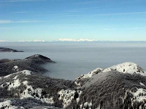 Kamnik-Savinja Alps from Snježnik