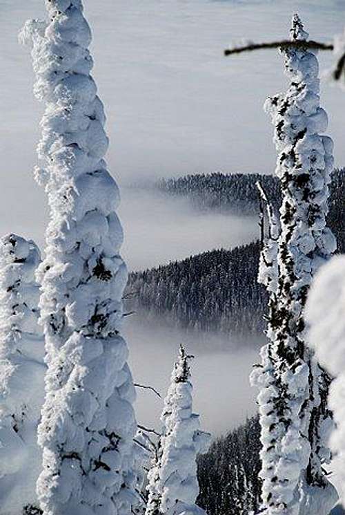 Montana Snow Ghosts