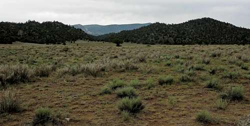 Browns Canyon - Colorado