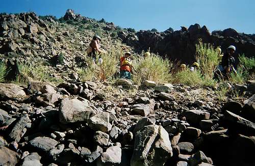 Bighorn Sheep Canyon - Colorado