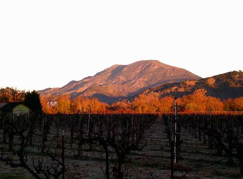Mount Saint Helena From the South.