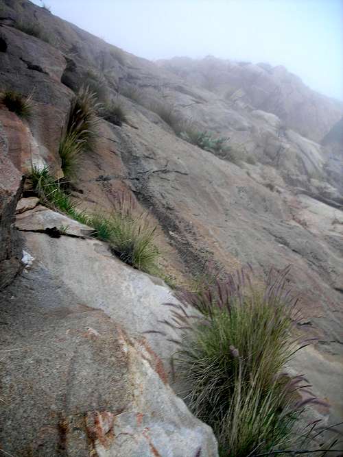 El Cajon Mtn - El Capitan 11