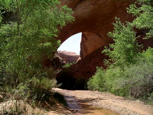 Jacob Hamblin Arch