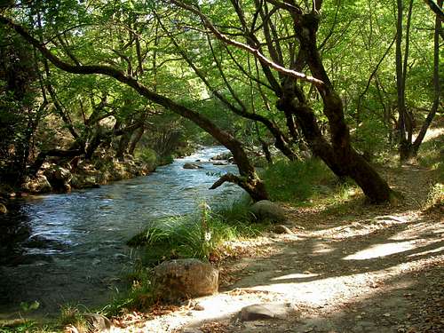 Alfeios river, Greece