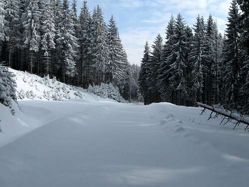 Babia Gora foothill-Slovak side