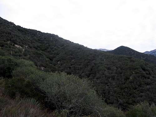 Iron Mountain trail