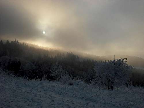 Frosty morning near the border between Poland and Slovakia