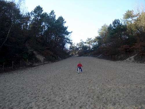 Holland - Schrool dunes