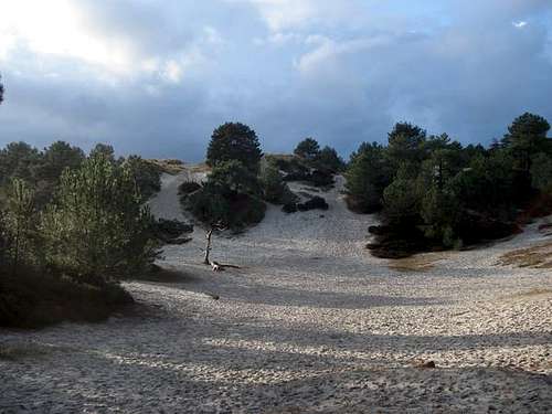 Holland - Schrool dunes