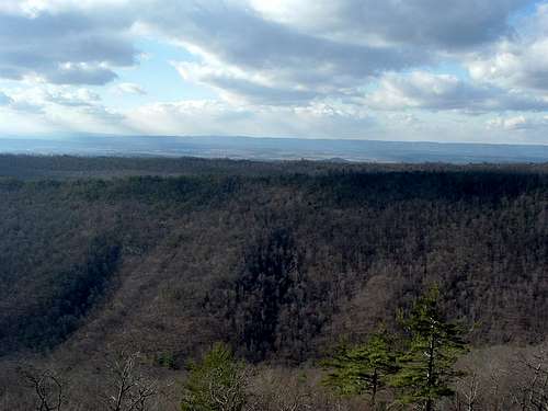 Looking West From Strickler Knob Trail