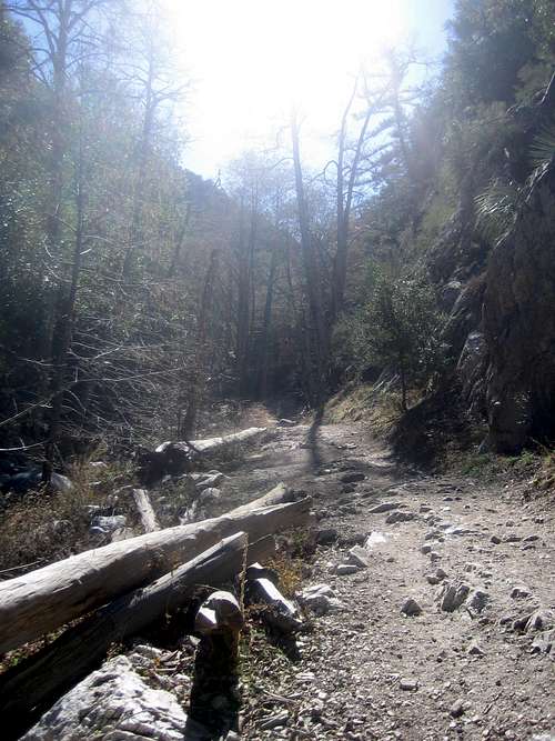 Bear Canyon Trail