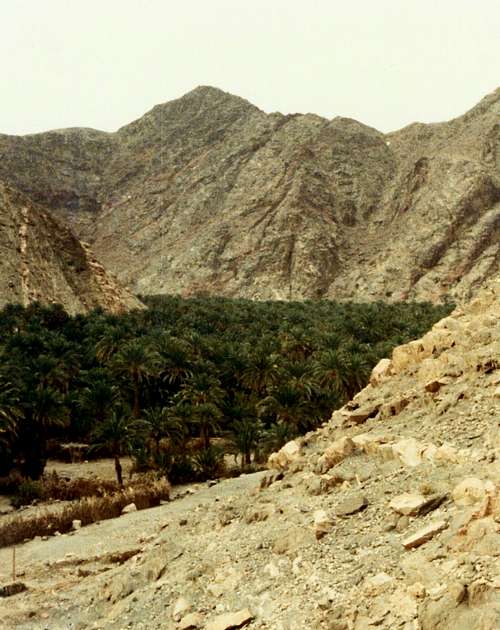 In the  Sinai Desert