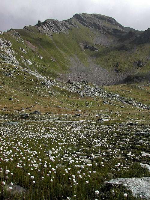 At the foot of  Mont Fallere  <i>3061m</i> West ridge