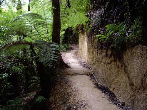 The Abel Tasman Coastal Track