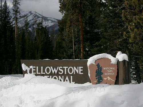 The Great Yellowstone Adventure of 2009.