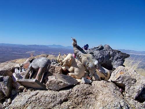 Pile of Pachyderms on the Elephant Head Summit