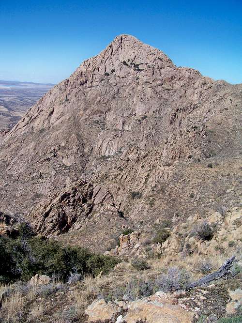 Elephant Head: Hikers Route with Chino Canyon Variation
