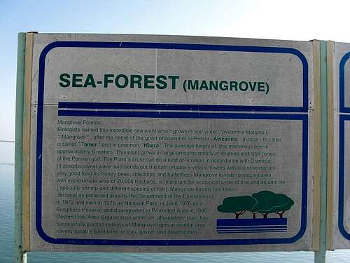 Sea-Forest(En)