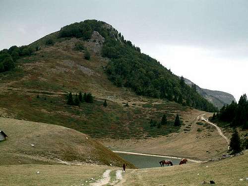 Panorama - lake